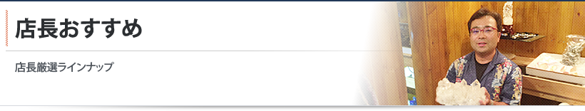 店長おすすめ